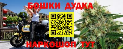 PSILOCYBIN Донской